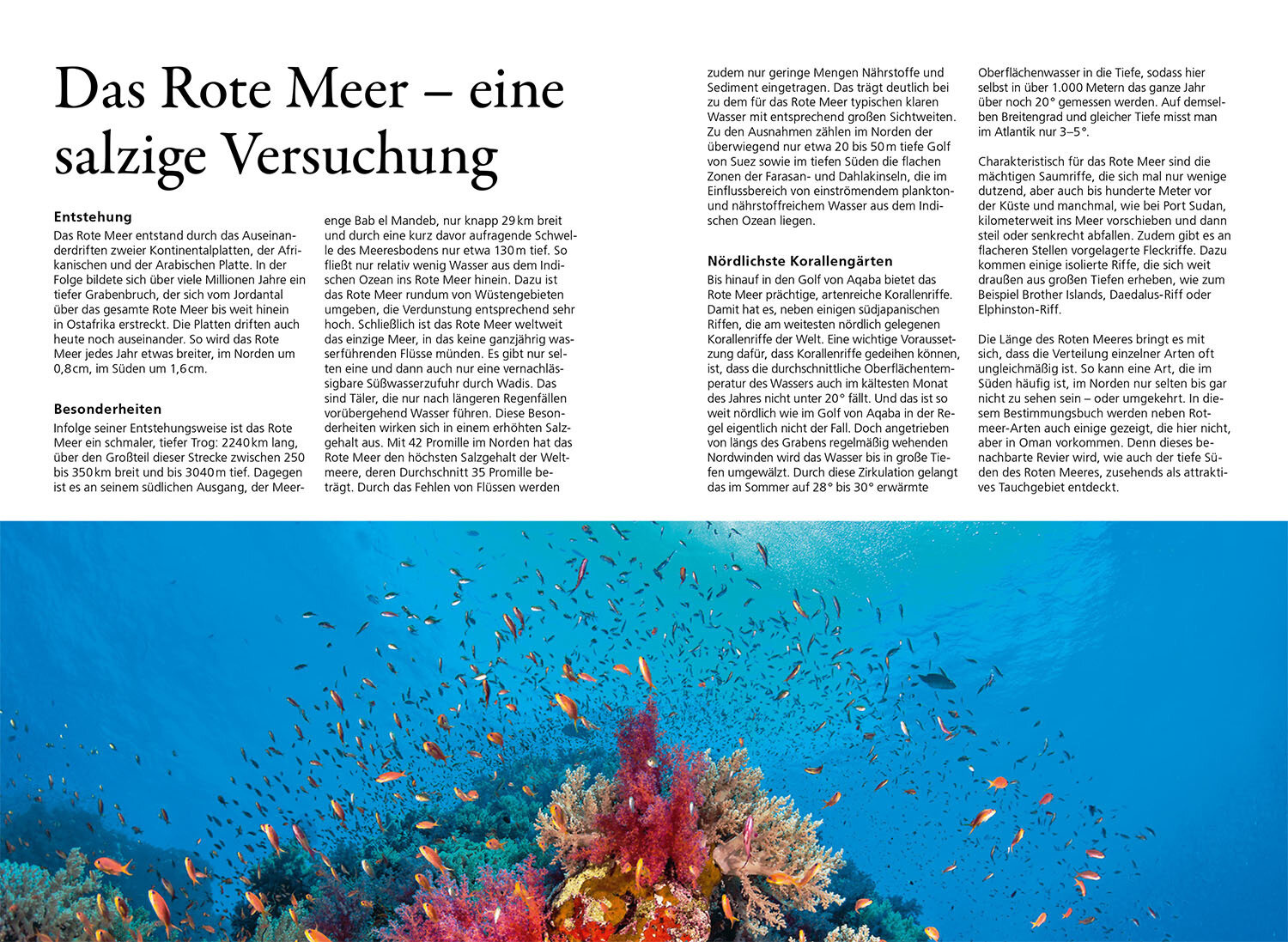 Kosmos Riff-Führer Rotes Meer - Der Unterwasserführer für Taucher und Schnorchler