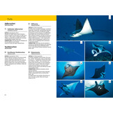 Kosmos Riff-Führer Rotes Meer - Der Unterwasserführer für Taucher und Schnorchler