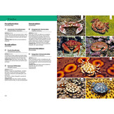 Kosmos Riff-Führer Rotes Meer - Der Unterwasserführer für Taucher und Schnorchler