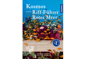 Kosmos Riff-Führer Rotes Meer