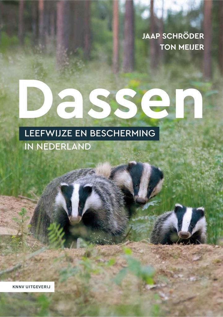 Dassen - Leefwijze en bescherming in Nederland