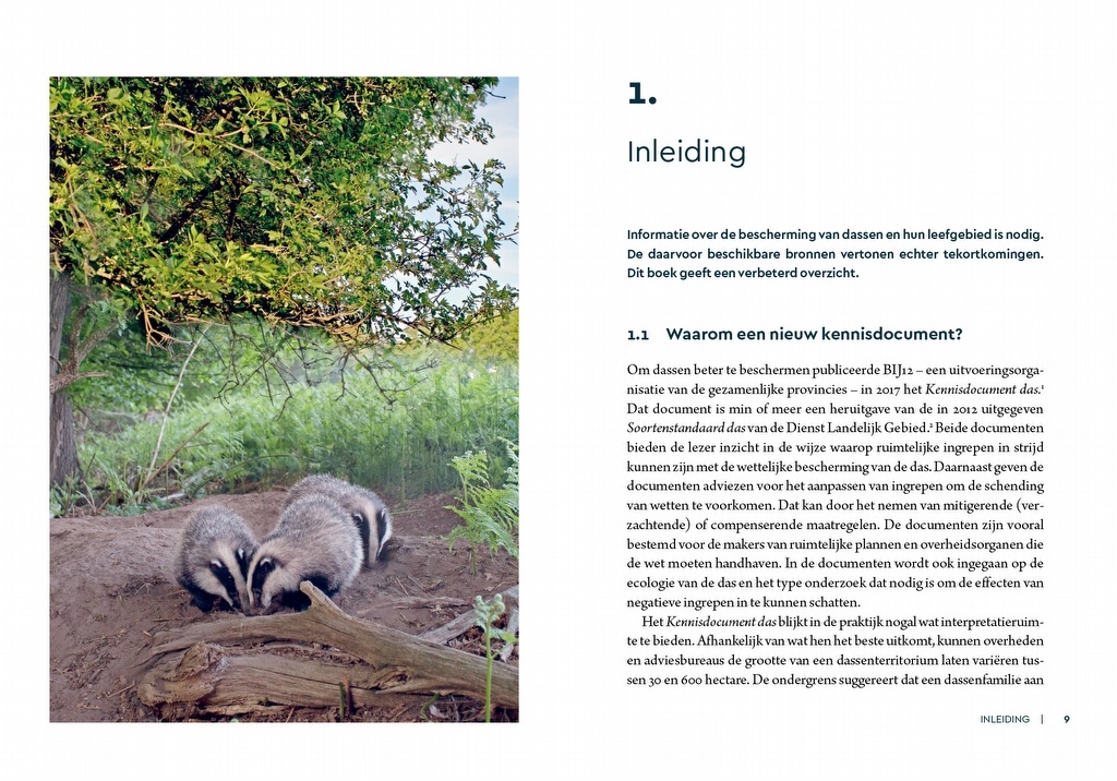 Dassen - Leefwijze en bescherming in Nederland