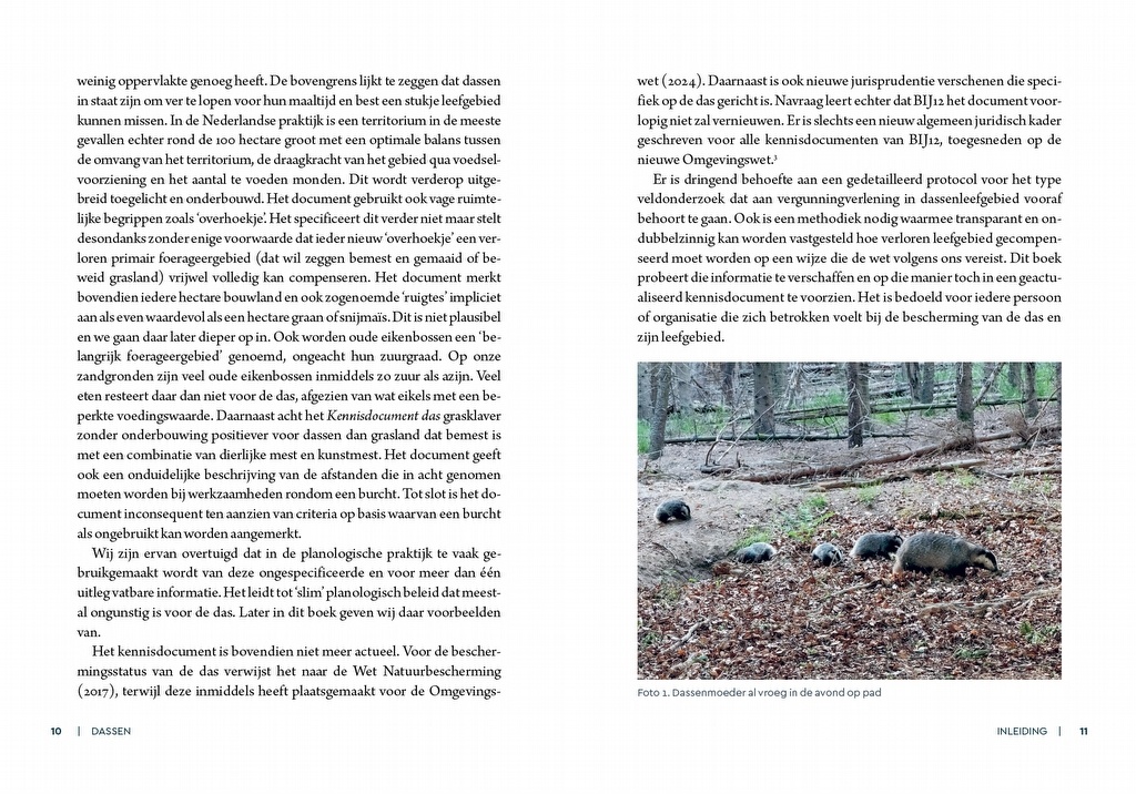 Dassen - Leefwijze en bescherming in Nederland