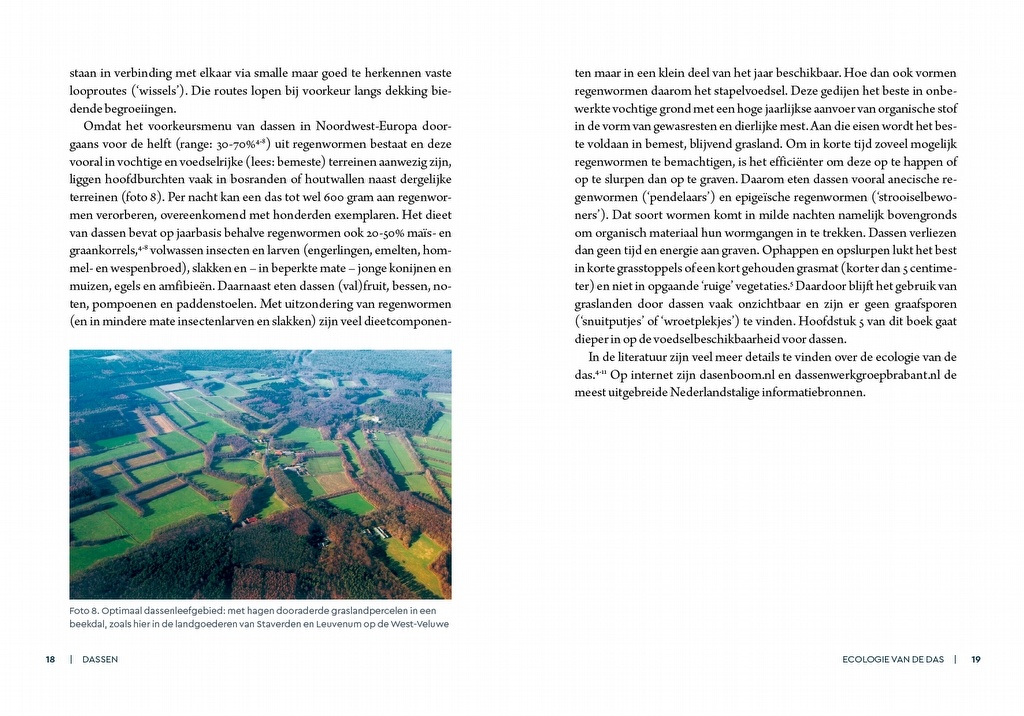 Dassen - Leefwijze en bescherming in Nederland