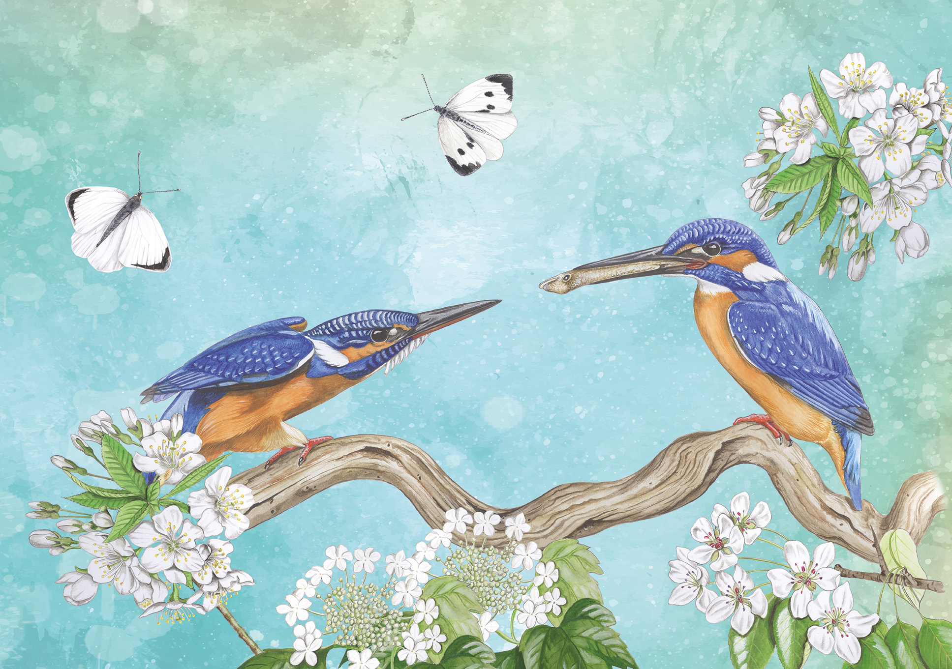 Puzzle IJsvogels (1000 stück)