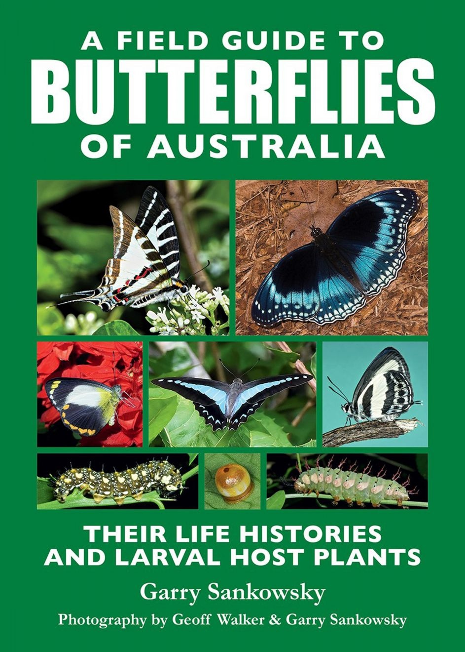 A Field Guide to Butterflies of Australia - Their Life Histories and Larval Host Plants