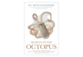 Secrets of the Octopus