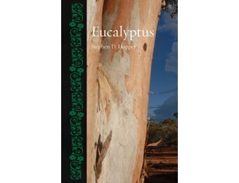 Eucalyptus