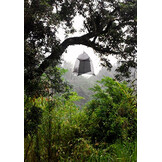 Bugdorm SLAM Trap II - Standard