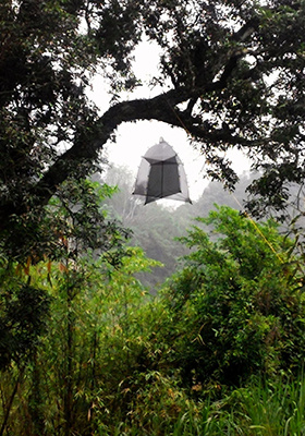 Bugdorm SLAM Trap II - Standard