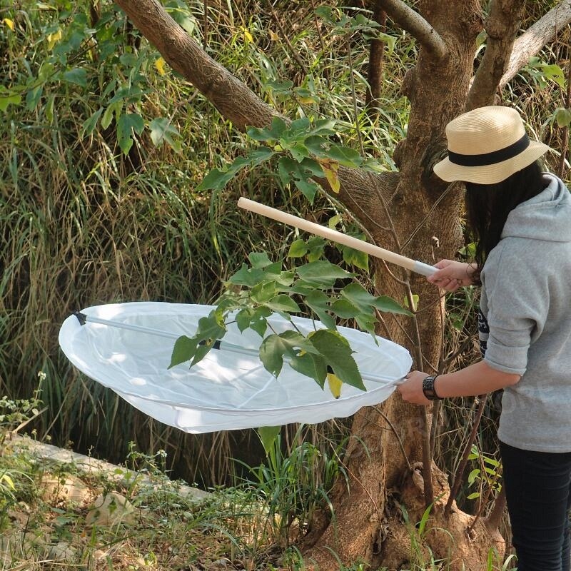 Bugdorm Foldable Beating Tray