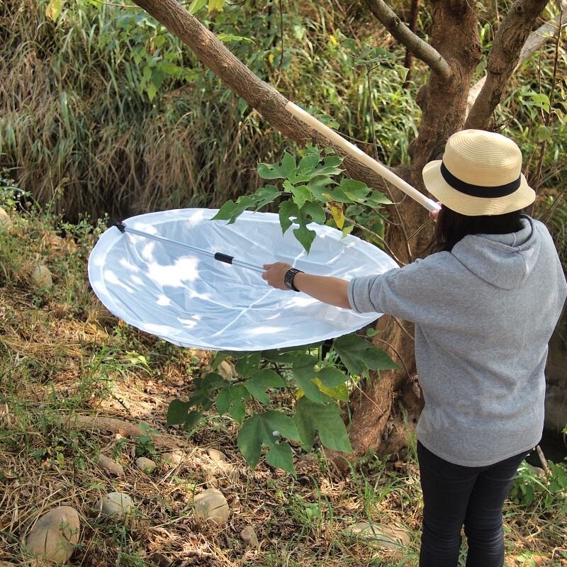 Bugdorm Foldable Beating Tray