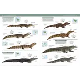 Handbook of the Reptiles of the World, Vol. 1: Turtles and Crocodiles