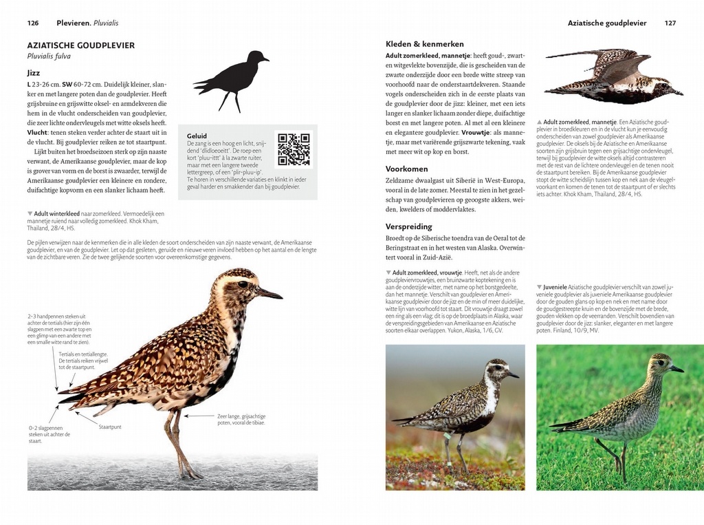 Veldgids Steltlopers van Europa - Alle Europese soorten