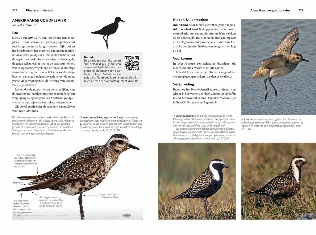 Veldgids Steltlopers van Europa - Alle Europese soorten