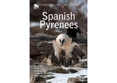Crossbill Guide Spanish Pyrenees - Spain