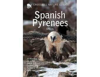 Crossbill Guide Spanish Pyrenees