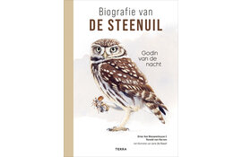 Biografie van de steenuil