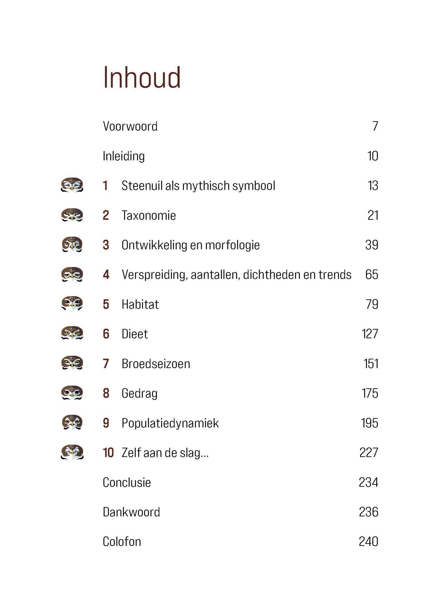 Biografie van de steenuil - Godin van de nacht