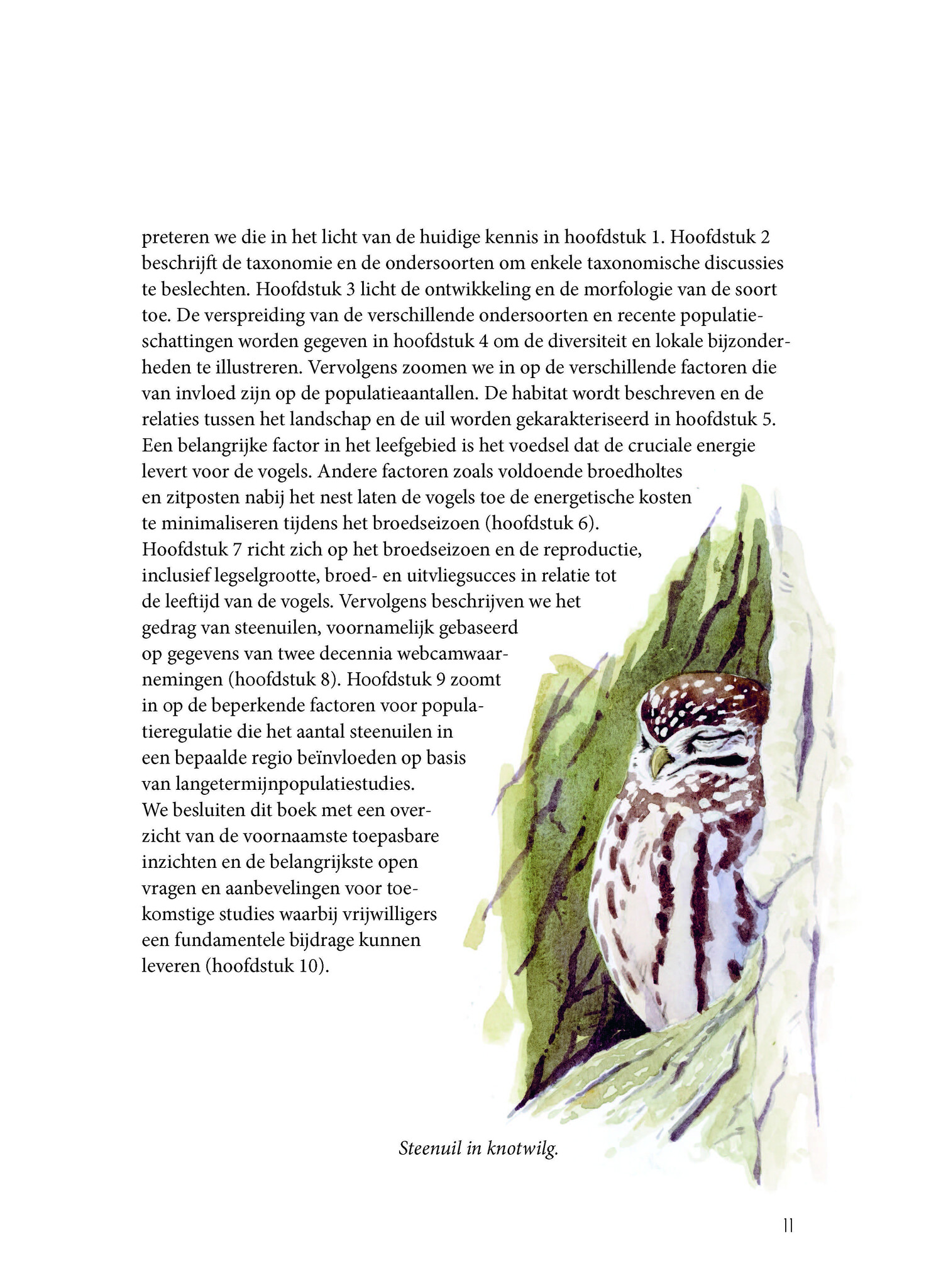 Biografie van de steenuil - Godin van de nacht