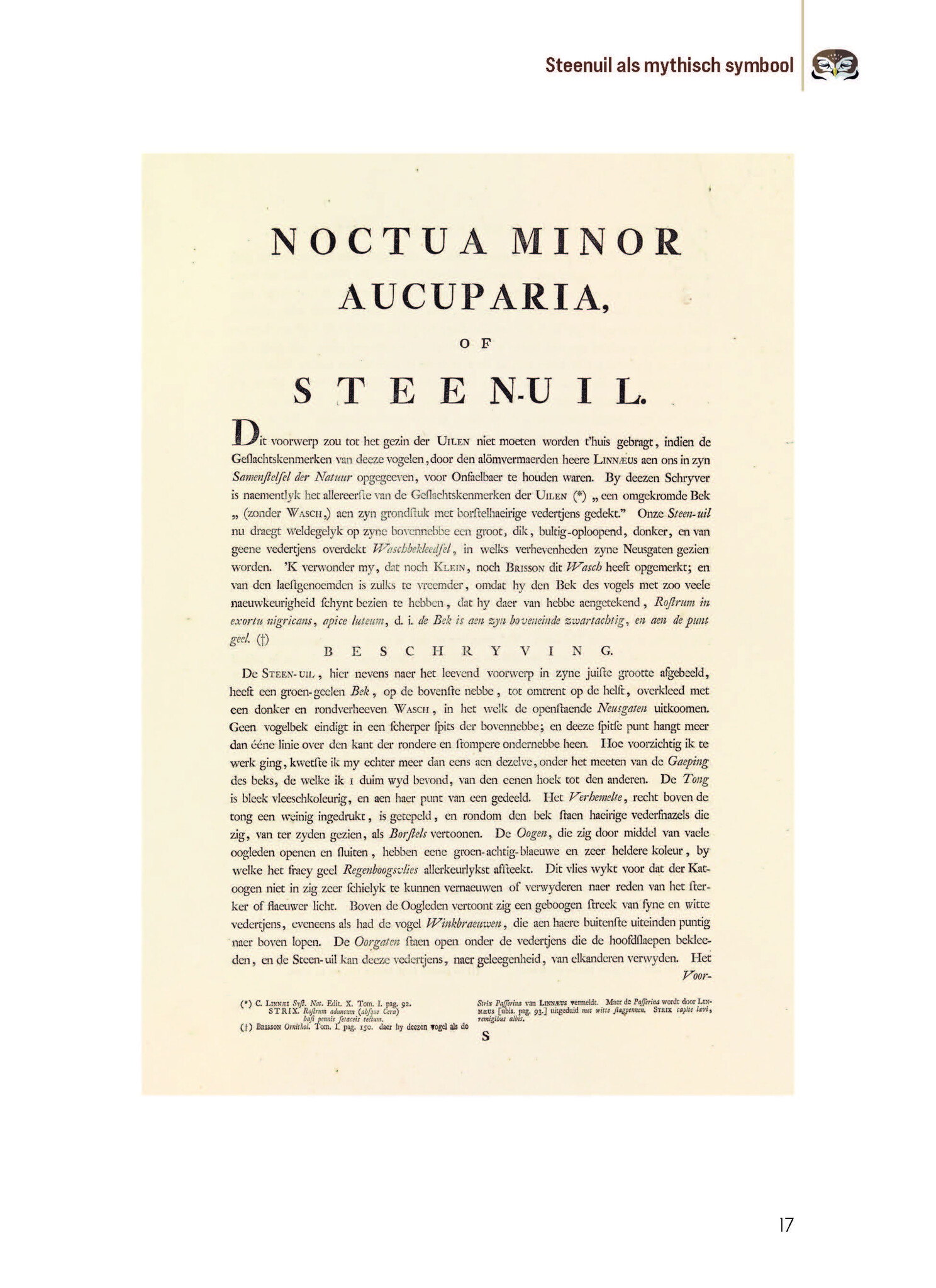 Biografie van de steenuil - Godin van de nacht