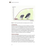 Biografie van de steenuil - Godin van de nacht