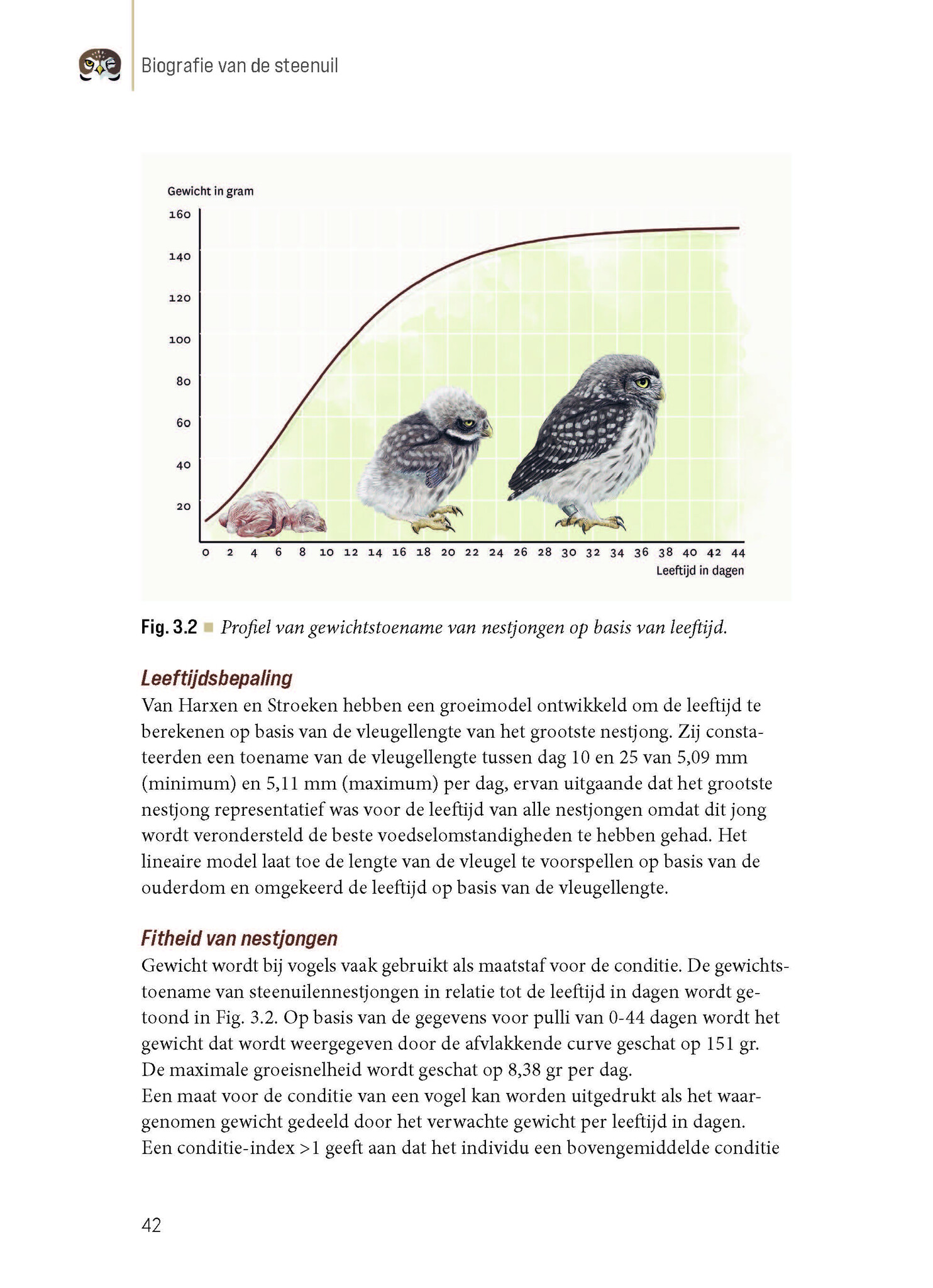 Biografie van de steenuil - Godin van de nacht