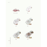 Biografie van de steenuil - Godin van de nacht