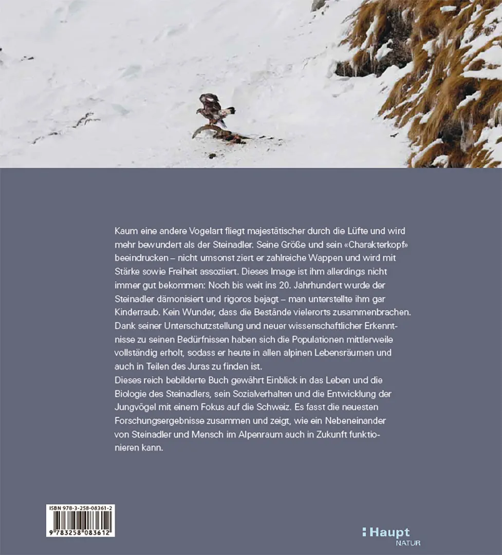 Der Steinadler  - Eine Rückeroberung im Alpenraum