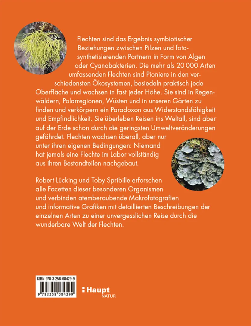 Flechten - Eine Reise in die verborgene Welt der Mischwesen
