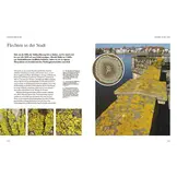 Flechten - Eine Reise in die verborgene Welt der Mischwesen