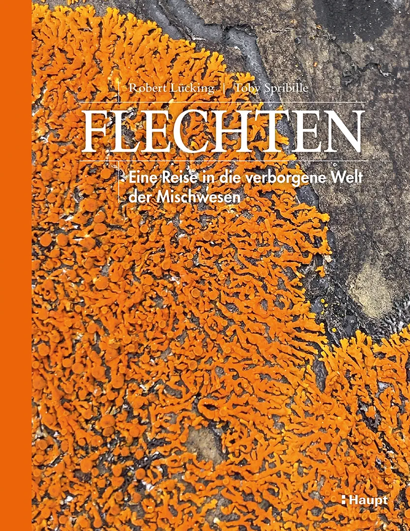 Flechten - Eine Reise in die verborgene Welt der Mischwesen