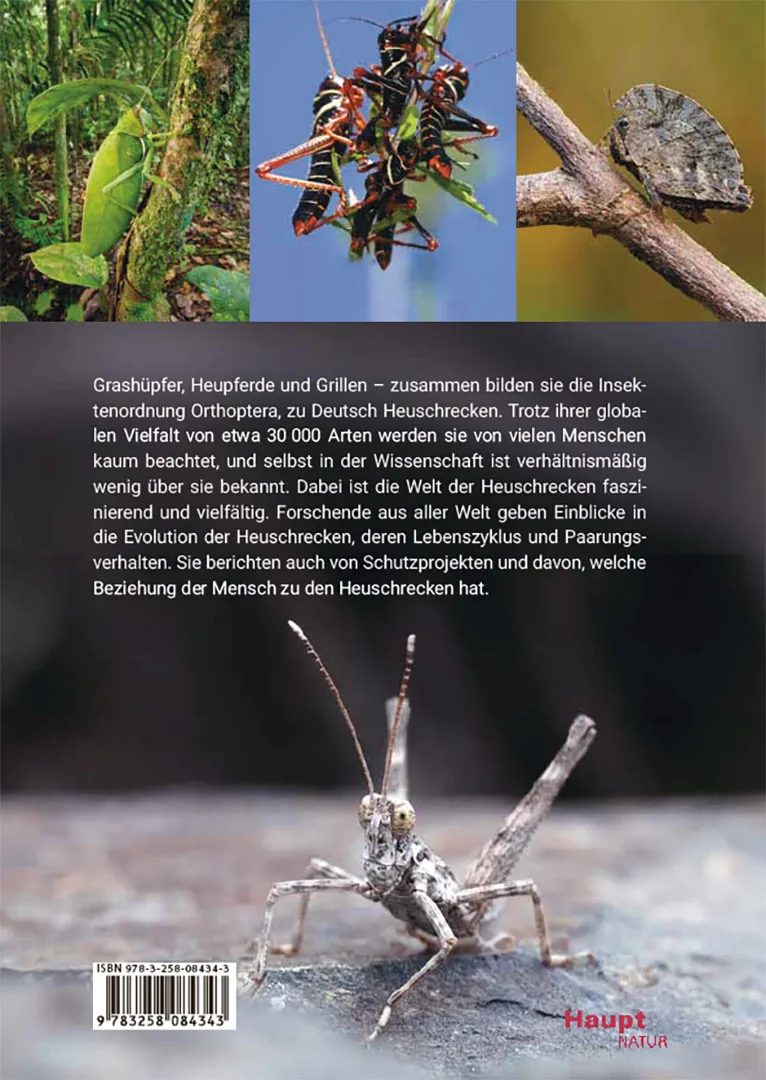 Die Welt der Heuschrecken - Faszinierende Lebensweise, unterschätzte Vielfalt