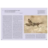Die Welt der Heuschrecken - Faszinierende Lebensweise, unterschätzte Vielfalt