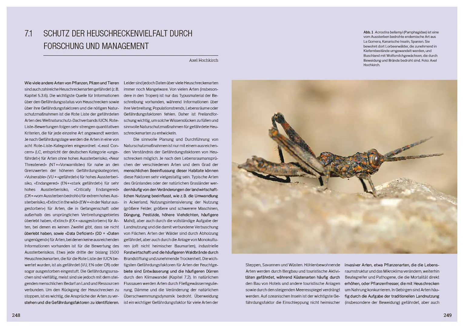 Die Welt der Heuschrecken - Faszinierende Lebensweise, unterschätzte Vielfalt