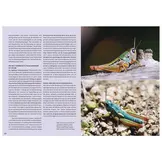 Die Welt der Heuschrecken - Faszinierende Lebensweise, unterschätzte Vielfalt