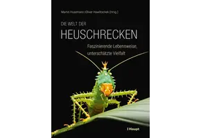 Die Welt der Heuschrecken