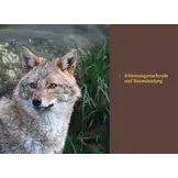 Der Goldschakal - Ein Wildtier breitet sich in Europa aus