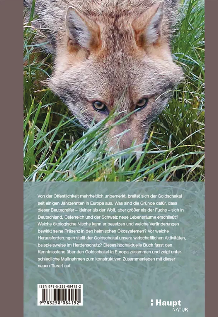 Der Goldschakal - Ein Wildtier breitet sich in Europa aus