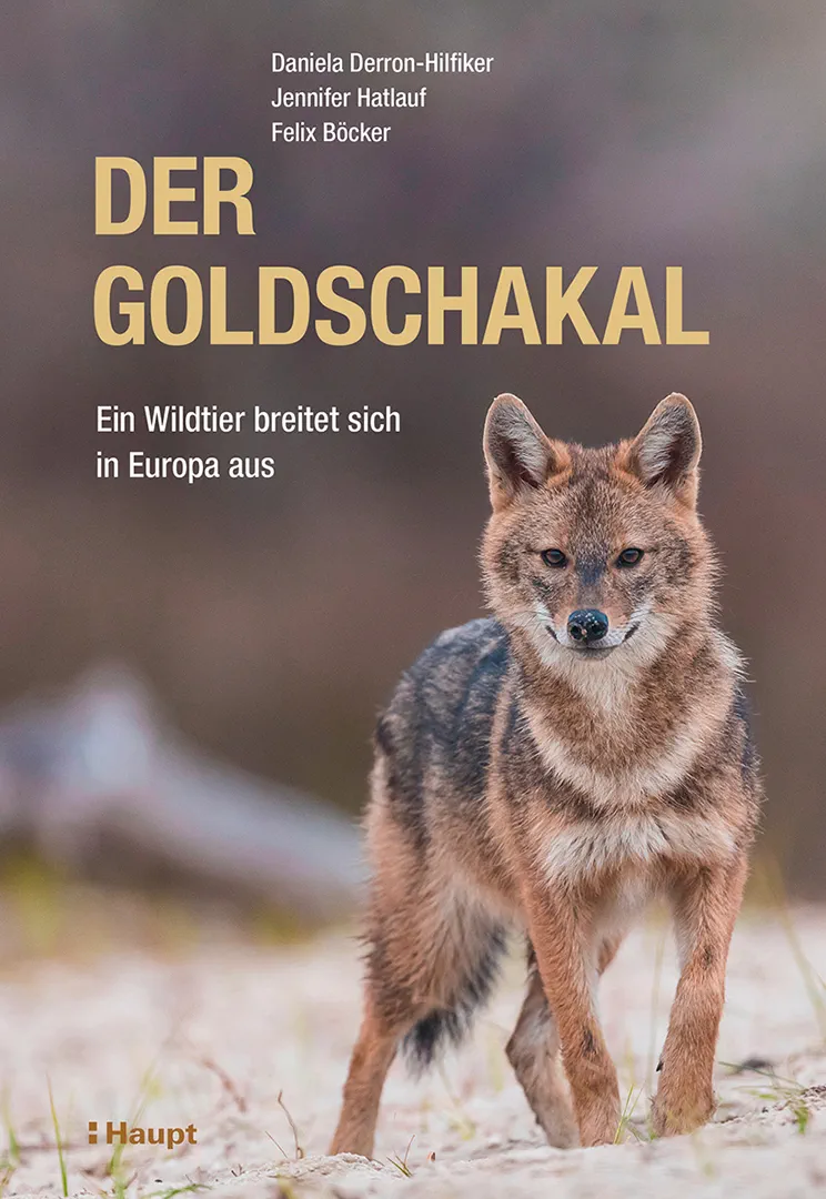 Der Goldschakal - Ein Wildtier breitet sich in Europa aus