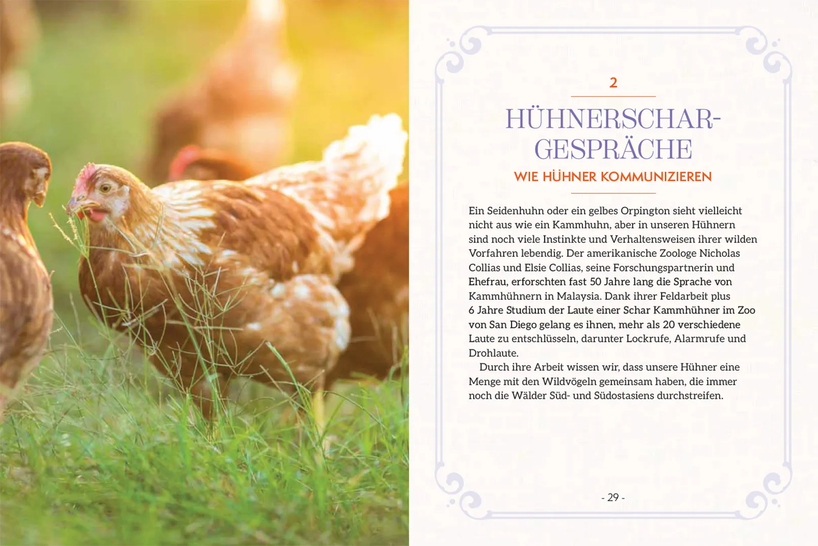 How to Read a Chicken's Mind - Wie deine Hühner denken, fühlen, lernen und sich mitteilen