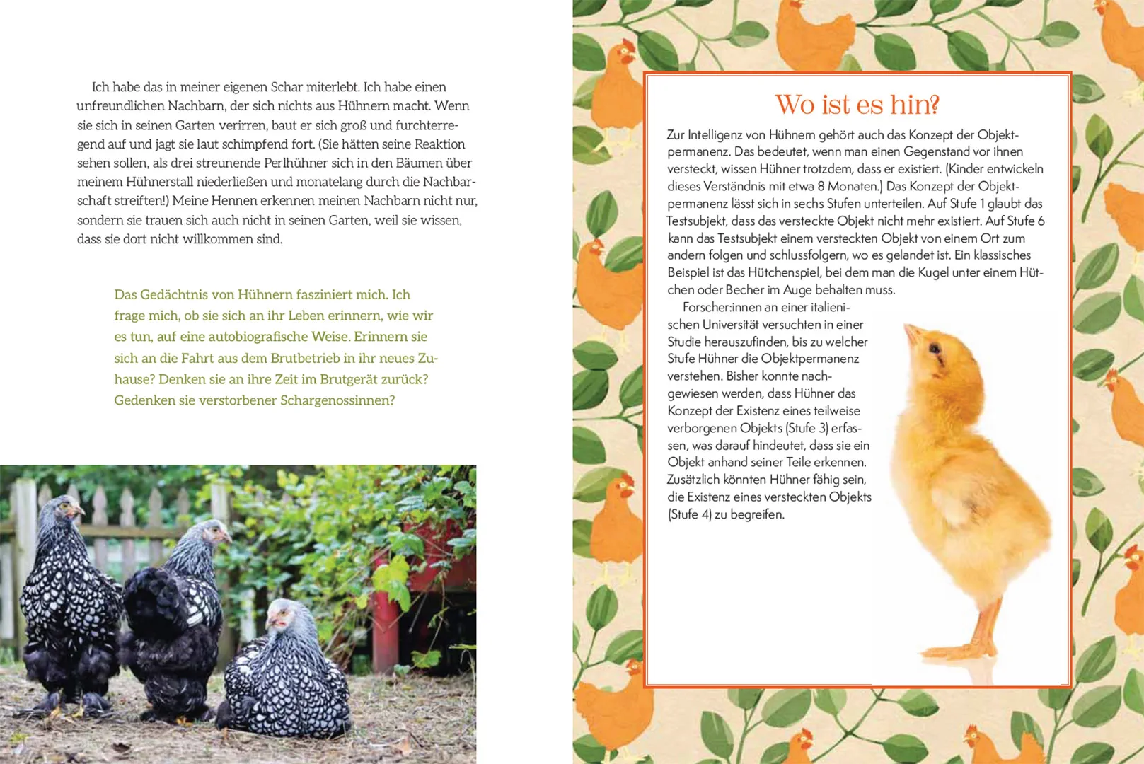 How to Read a Chicken's Mind - Wie deine Hühner denken, fühlen, lernen und sich mitteilen