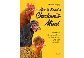 How to Read a Chicken's Mind