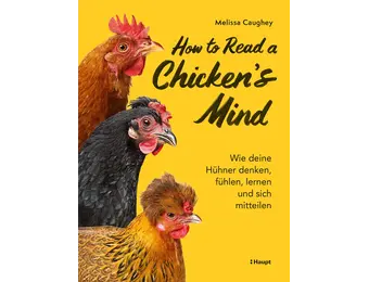 How to Read a Chicken's Mind