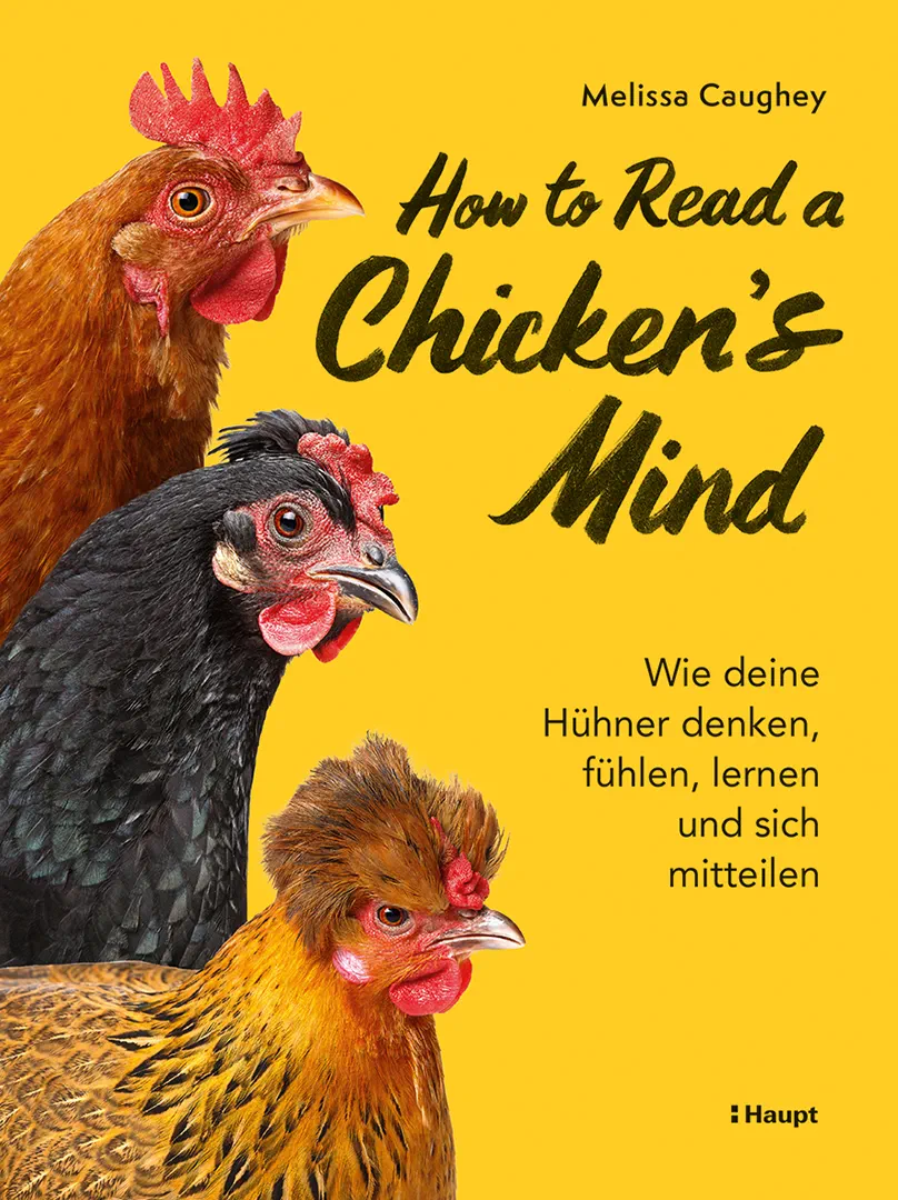 How to Read a Chicken's Mind - Wie deine Hühner denken, fühlen, lernen und sich mitteilen