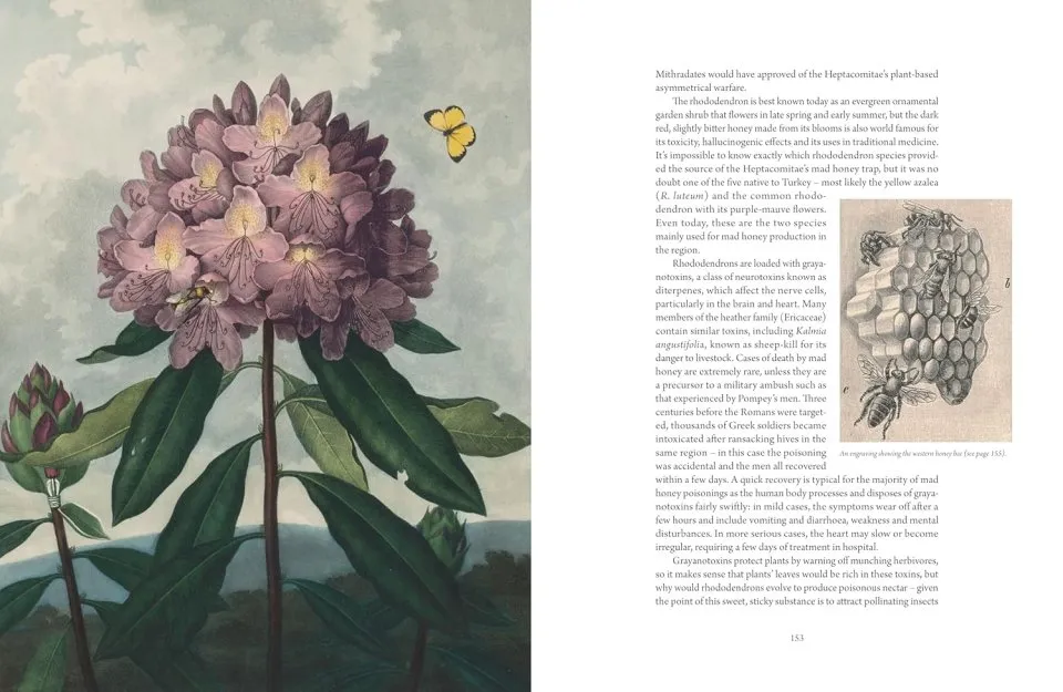 The Atlas of Deadly Plants - Botanical Tales of the World’s Most Intoxicating, Poisonous and Dangerous Specimens