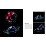 The Radiant Sea - Color and Light In the Underwater World