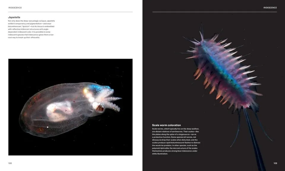 The Radiant Sea - Color and Light In the Underwater World