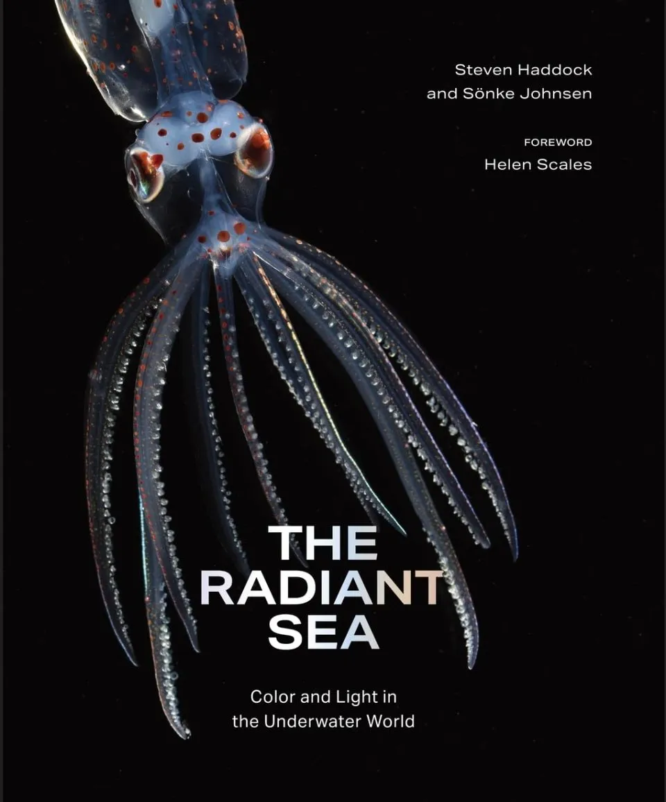 The Radiant Sea - Color and Light In the Underwater World
