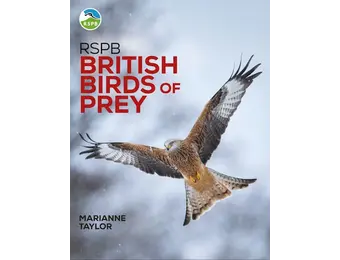 RSPB British Birds of Prey